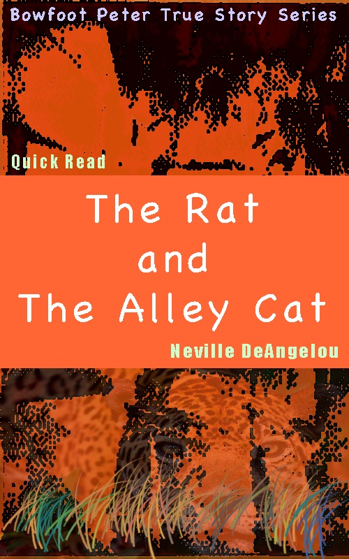 The Rat And The Alley Cat by Neville DeAngelou